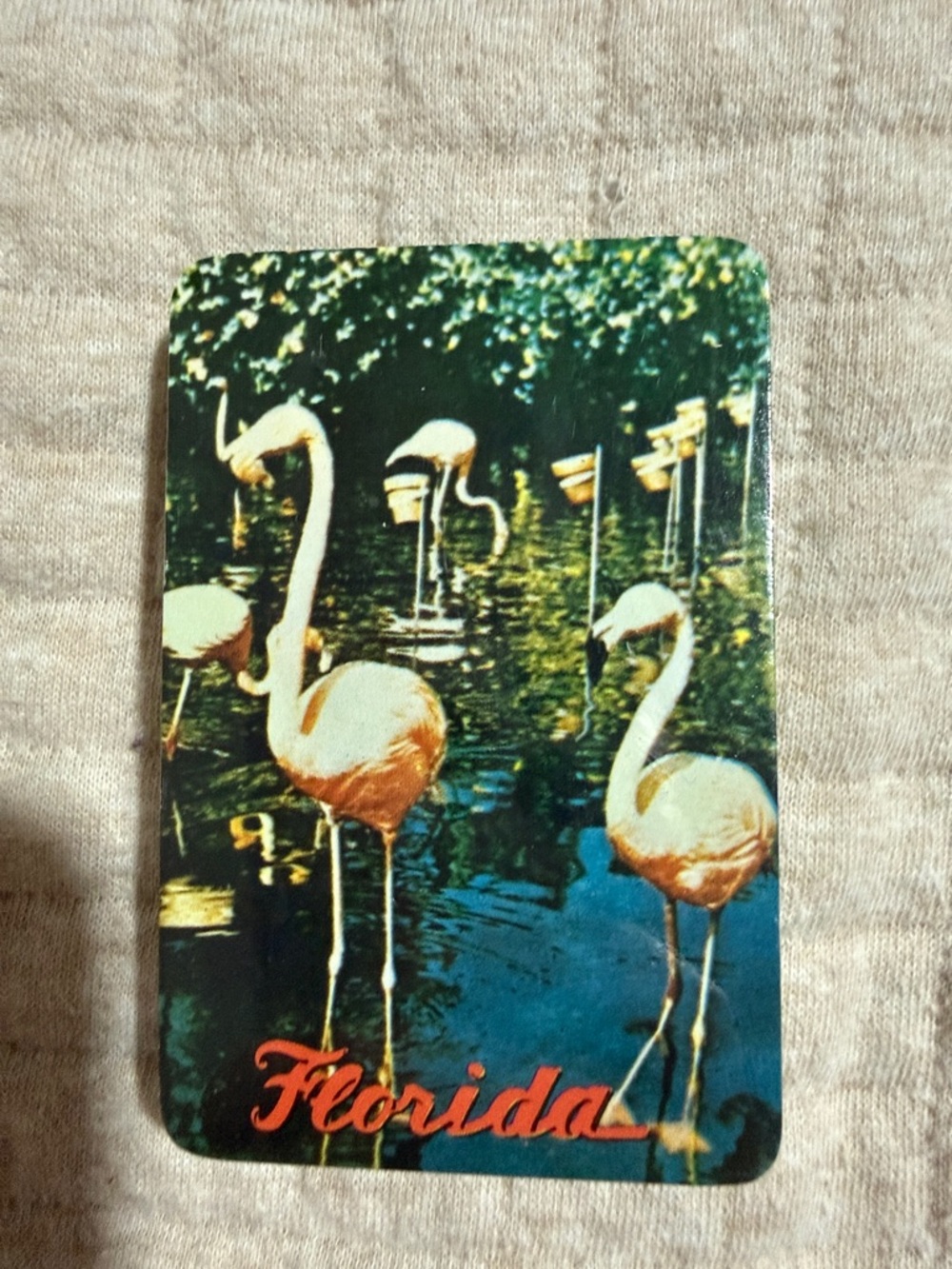 Florida Playing Cards NEW